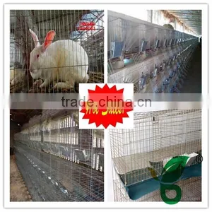 Stainless Steel Large Rabbit Cages thumbnail-1