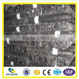 Best Price Hexagonal Mesh From Anping Factory thumbnail-6