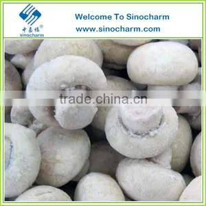 IQF Frozen Champignon Mushroom From China thumbnail-1