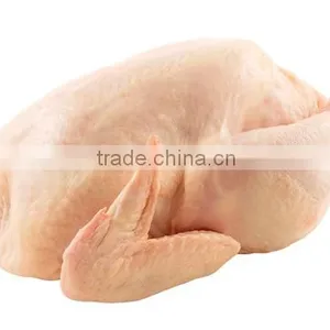 BRAZILIAN HALAL FROZEN WHOLE CHICKEN AND CHICKEN SHAWAMA !!! PREMIUM SUPPLIER !!! thumbnail-1