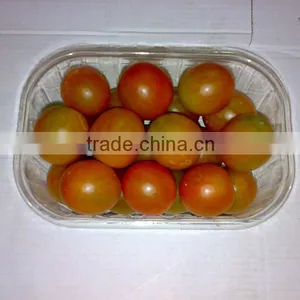Fresh Cherry Tomato thumbnail-1