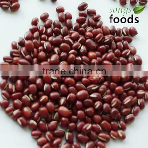 Adzuki Beans 2014 thumbnail-1
