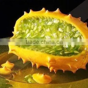 Hybrid F1 Fruit Seeds Kiwano Seeds For Growing thumbnail-4