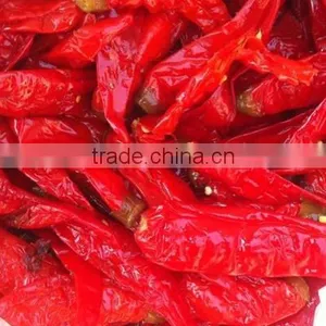 Hybrid F1 Green Red Chilli Pepper Seeds for Sale-Xiang La No.2 thumbnail-3