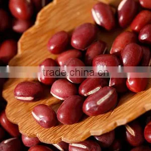 The Largest Supplier of Red Kidney Beans in China thumbnail-1