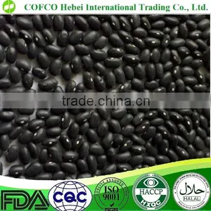 Black Beans thumbnail-2