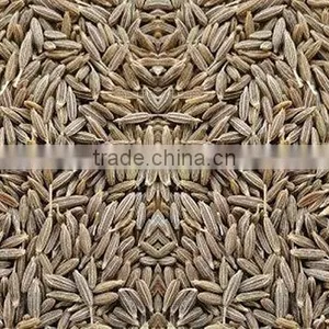 Europe Quality Cumin Seed for Best Price thumbnail-2