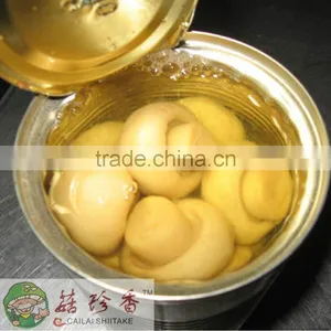 Canned Champignon Mushroom of Factory Price thumbnail-1