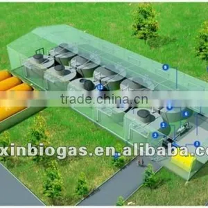 Durable Quality Medium Size Anaerobic Digestion System for Grass Treatment thumbnail-1
