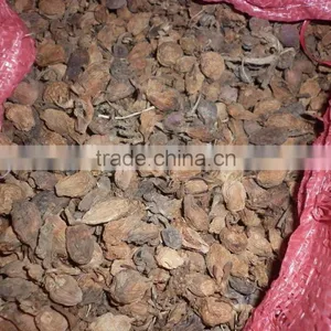WHOLE SALE BLACK CARDAMOM FOR BANGLADESH MARKET thumbnail-2