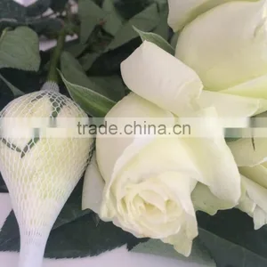 Natural Fresh Flower Fresh Rose thumbnail-5