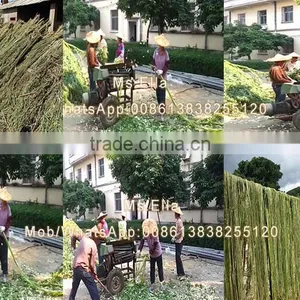 Factory Supply Hemp Abaca Fiber Opening Machine thumbnail-3