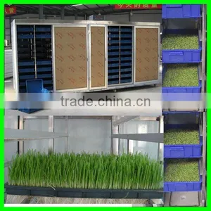 Lowest Price Soybean and Mung Bean Sprouter With Best Service thumbnail-2