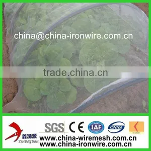 Plastic Anti Bird Net/Netting thumbnail-1