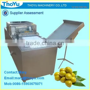 Olive Kernel Separating /Remover/ Seed Extracting Machine/ Separator/ Separating Machine(SMS: 0086-15903675071) thumbnail-1
