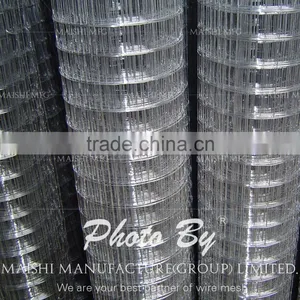 Electro Galvanized Welded Mesh thumbnail-1