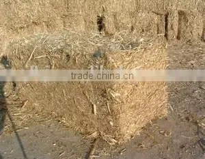 More Energy Saving Baler Machine,wheat Straw Baler With German Hydraulic Technology thumbnail-4
