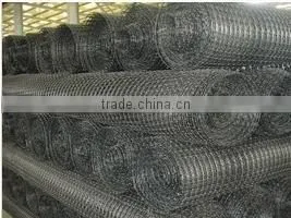 PP Plastic Uniaxial Geogrid thumbnail-1