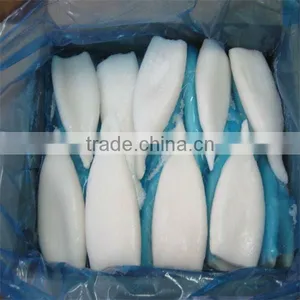 Quality Frozen Squid Tube Importer thumbnail-1