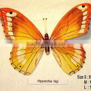 Realistic Handmade Handpainted Butterflies Collectibles (made of Rubber Leafs) thumbnail-1