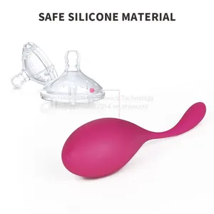 Wholesale Vibration Egg g Spot Vibrator Sex Toys for Female With Remote Control thumbnail-4