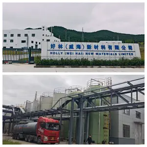 Shanghai Million Chemical Limited company overview - view 1 thumbnail