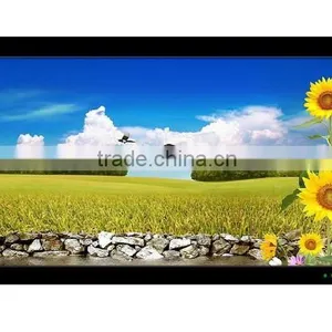 47 Inch Wall Mounted Digital Signage With High HD 1080P Advertising Player Screen thumbnail-1