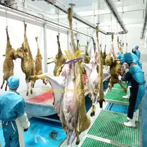 Turnkey Slaughterhouse Solution Sheep Abattoir Slaughtering Line Equipment Goat Slaughter Machine thumbnail-1
