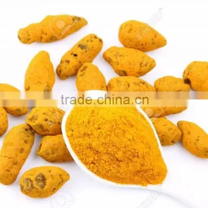 Finest Turmeric Powder Bulk Producers thumbnail-1