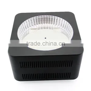 300W Full Spectrum Hydroponics COB Led Grow Light thumbnail-2