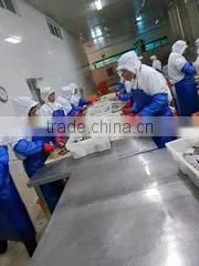 Ningbo Blue Whale Import & Export Co., Ltd. company overview - view 3 thumbnail