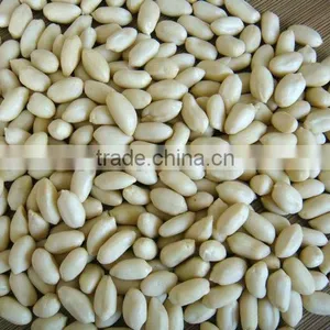 Ju'nan Country Best Quality Blanched Peanut 24/28 Size 25kg/ctn for Sale thumbnail-4
