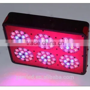 Programmable Led Aquarium Light for Aquarium thumbnail-4