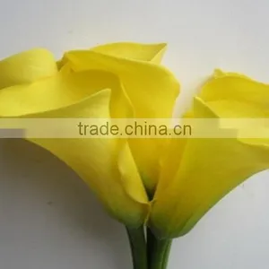 Cheap Wholesale High Quality Calla Lily From China Manufacture thumbnail-3