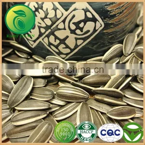 China Sunflower Seeds Bird For Sale thumbnail-1