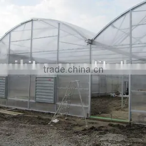 Export to Japan Agriclutural Polycarbonate Greenhouse thumbnail-5