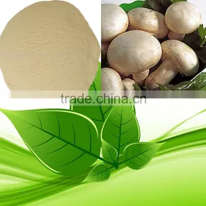 Kosher Fungal Chitosan thumbnail-1