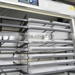 Special Offer Industrial Used Poultry Incubator for Sale thumbnail-4