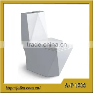 1735 New Design Dual Flushing Fashional Sanitary Ware Washdown One Piece Toilet thumbnail-1