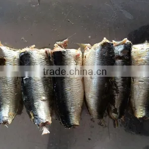 155g Canned Sardine for Sale thumbnail-1