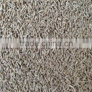 Cumin Seed Singapore Quality New Crop 2016 thumbnail-1