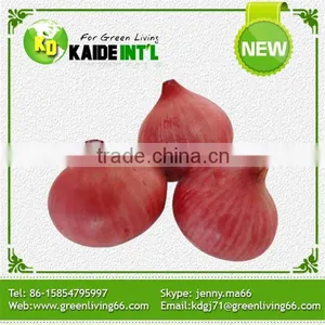 All Normal Sizes Fresh White Onion For Sale thumbnail-6
