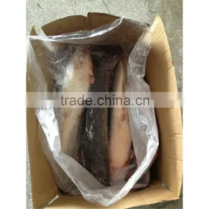 Frozen Fresh Live Catfish on Sale for Making Dry Catfish thumbnail-1