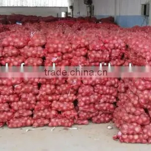 Fresh Yellow Onion and Red Onion Packed in Mesh Bag thumbnail-1