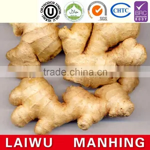 China Fresh Old Ginger Supplier thumbnail-3