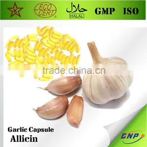 BNP Supply High Quality Garlic Oil Capsule thumbnail-1