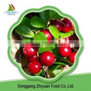 Frozen Style 2016 New Crop Wild Lingonberry thumbnail-1
