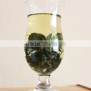 Herbal Tea Lower Blood Pressure,Fiveleaf Gynostemma Herb,Chinese Herbal Medicine,jiaogulan Herb,jiaogulan Tea thumbnail-6