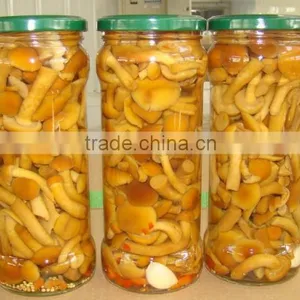 2014 New Crop Canned Marinated Nameko Mushrooms thumbnail-5