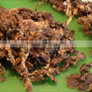 Halal Baby Food Names Manufacturer Honey Pollen Royal Jelly Pollen Health Food Mix ... thumbnail-2